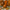 Thanksgiving Day: Tradition, practical tips, and a 7 liter pot turkey recipe - MAN Industries