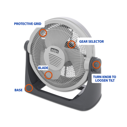 Floor & Wall Fan  13"